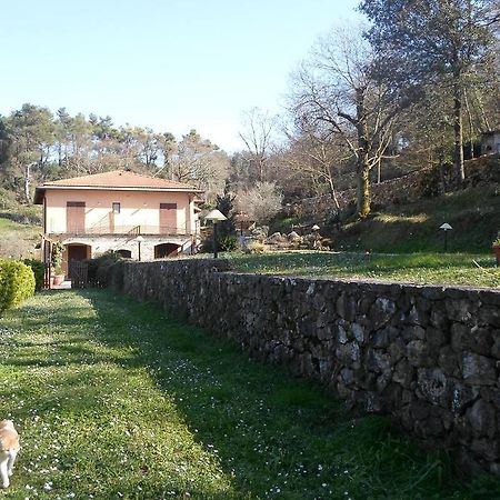 I Lecci Acomodação com café da manhã Lerici Exterior foto