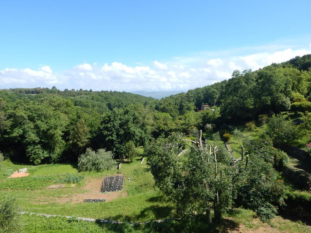 I Lecci Acomodação com café da manhã Lerici Exterior foto